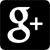 Google+